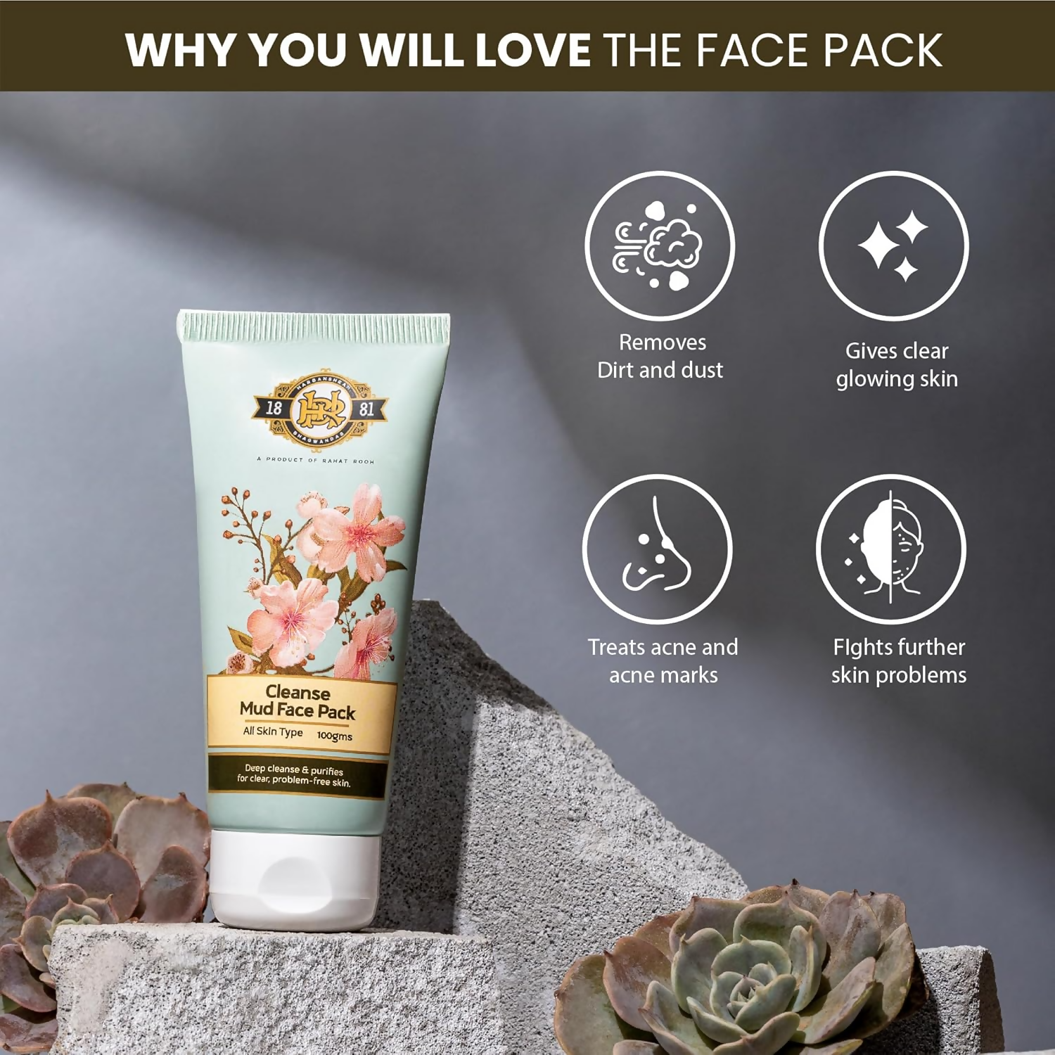 Cleanse Ayurveda Cleanse Mud Face Pack