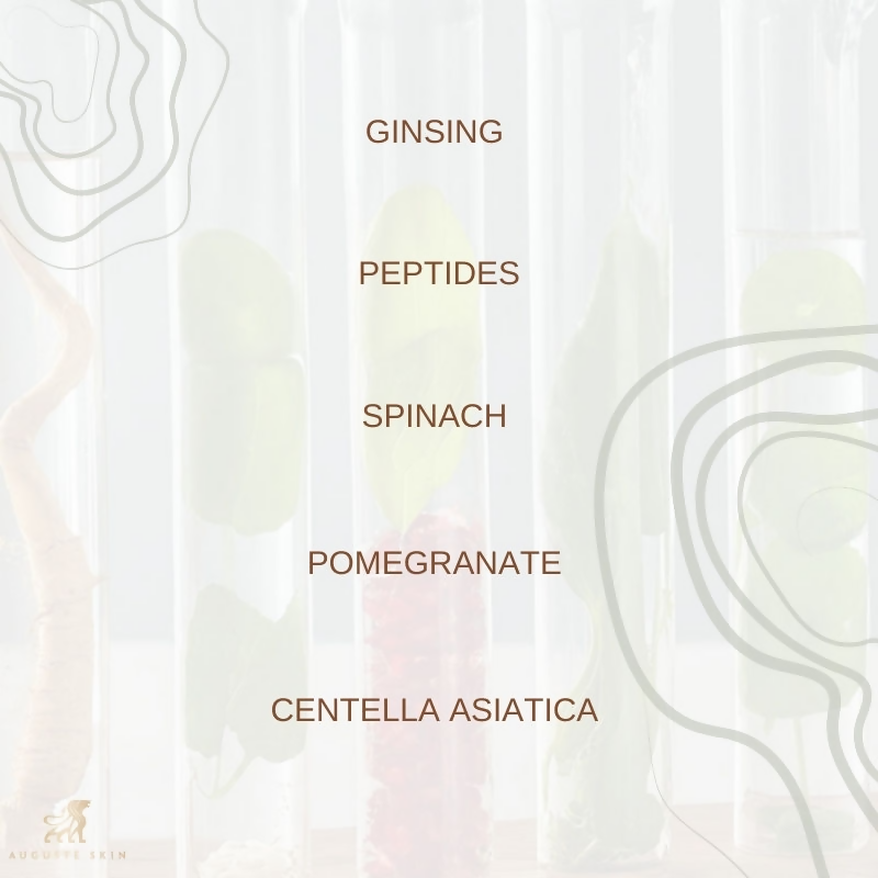 Auguste Skin FloraFusion Revitalizing Day Cream