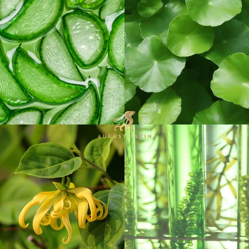 Auguste Skin HydroSculpt Pro Quench Serum