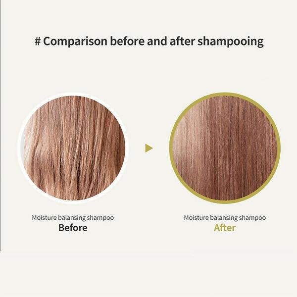 La'dor Moisture Balancing Shampoo