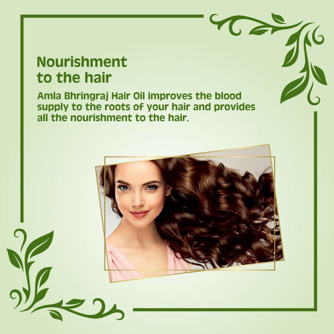 Earth Science Ayurveda Amla & Bhringraj Hair Oil