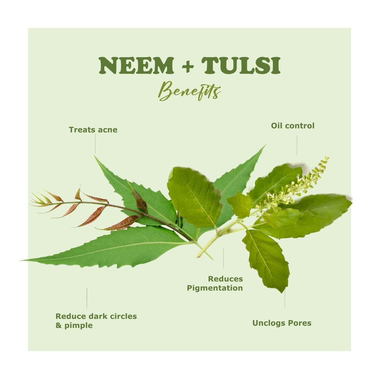 Kimayra Organic Neem + Tulsi Face Pack Powder For Pimple Free Skin, Helps In Cleansing The Skin