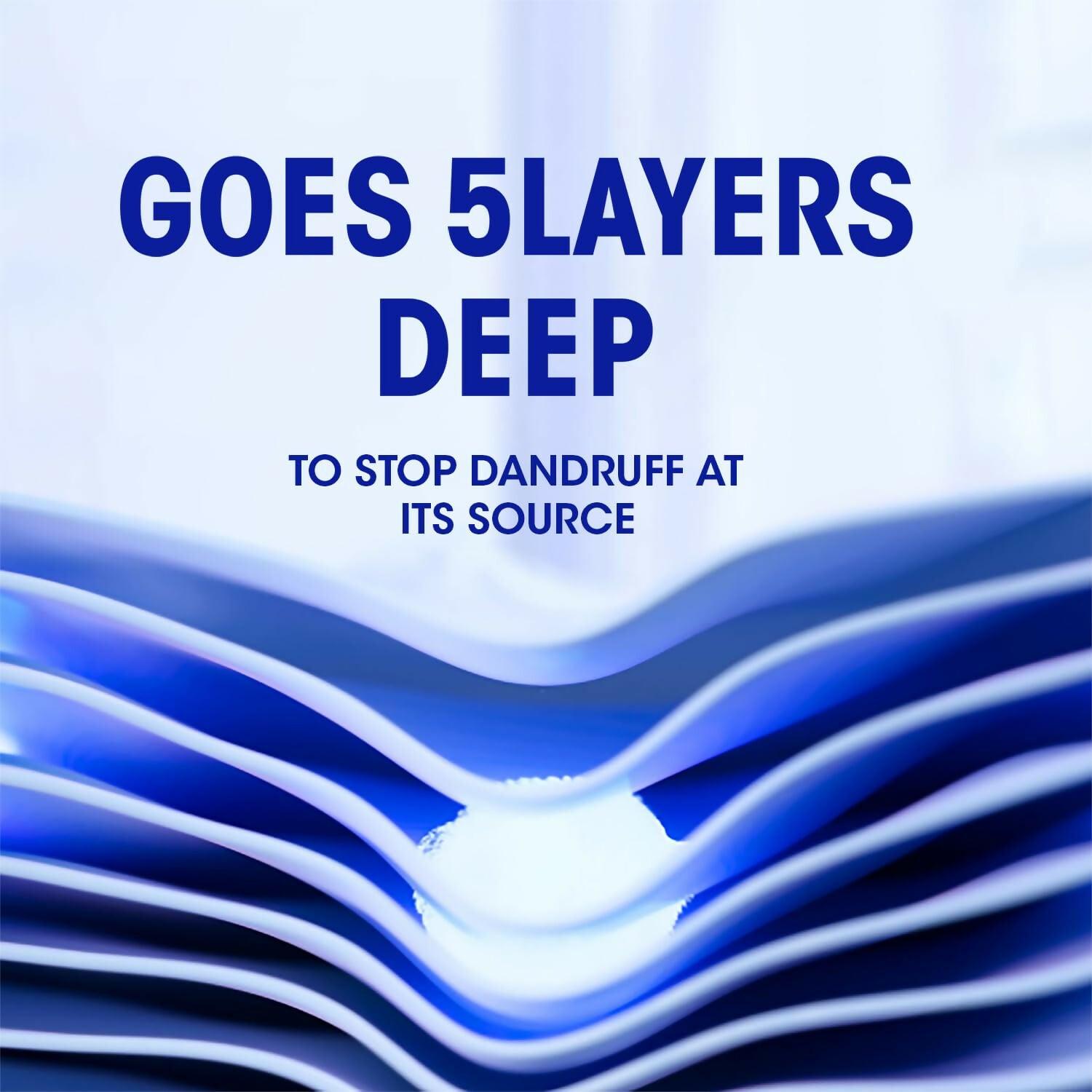 Head & Shoulders Silky Black Anti Dandruff Shampoo