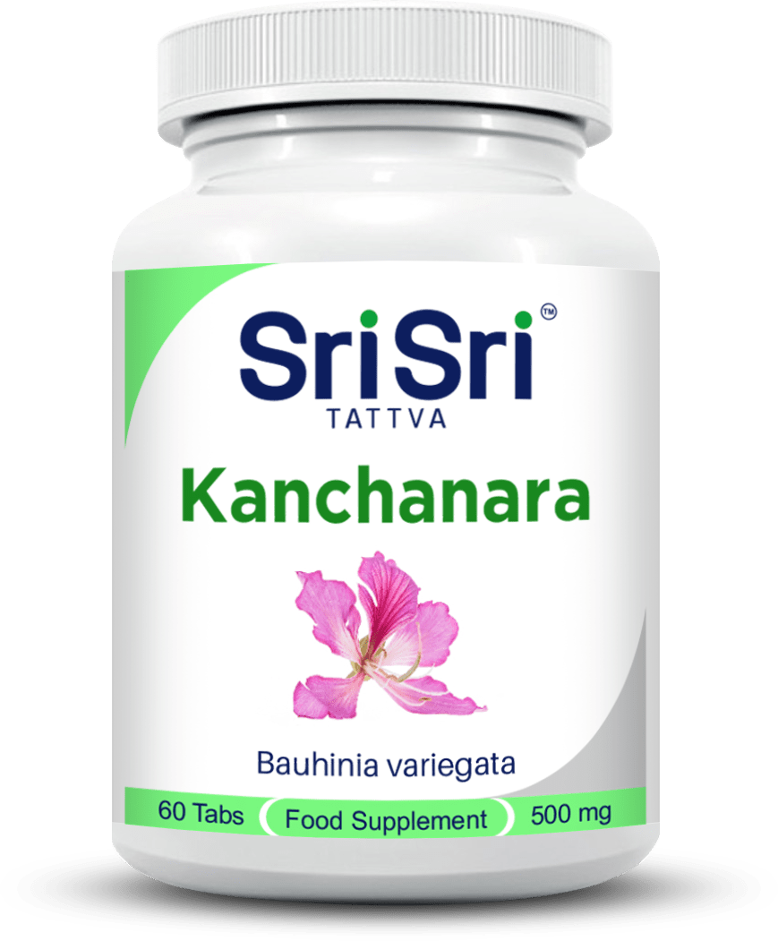 Kanchanara - Healthy Hormone