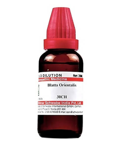 Dr. Willmar Schwabe India Blatta Orientalis Dilution