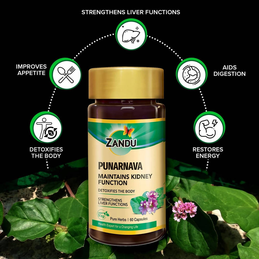Zandu Punarnava Capsules