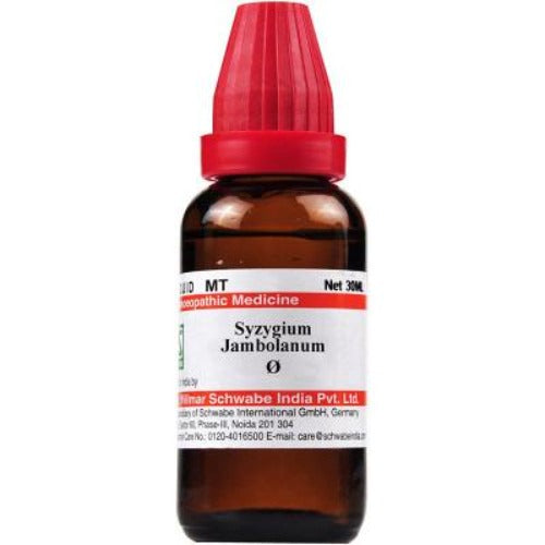 Dr. Willmar Schwabe India Syzygium Jambolanum Mother Tincture Q