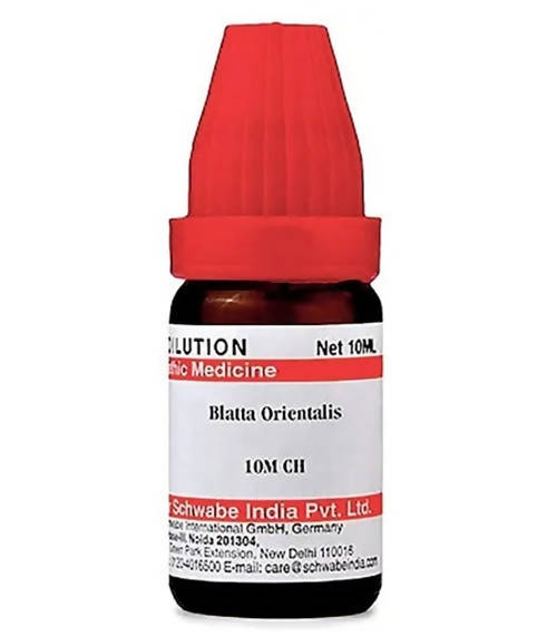 Dr. Willmar Schwabe India Blatta Orientalis Dilution
