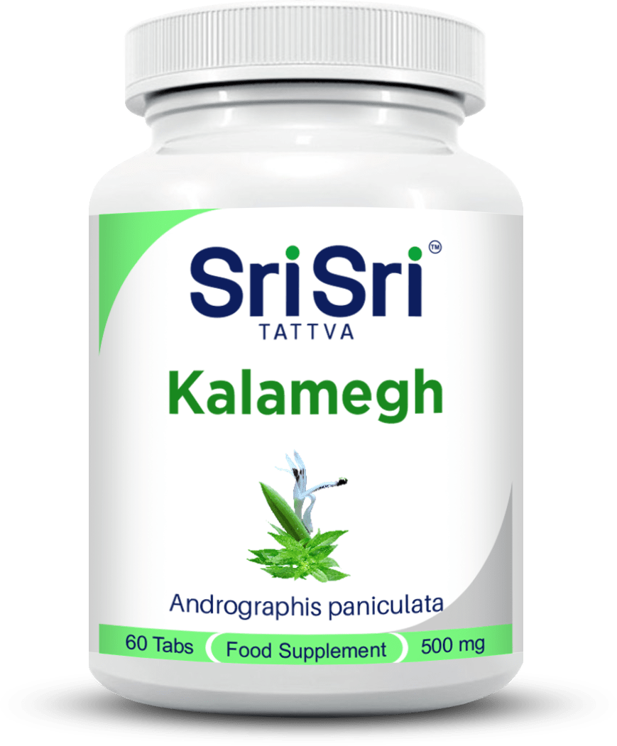 Kalmegh (Andrographis)- Respiratory & Liver