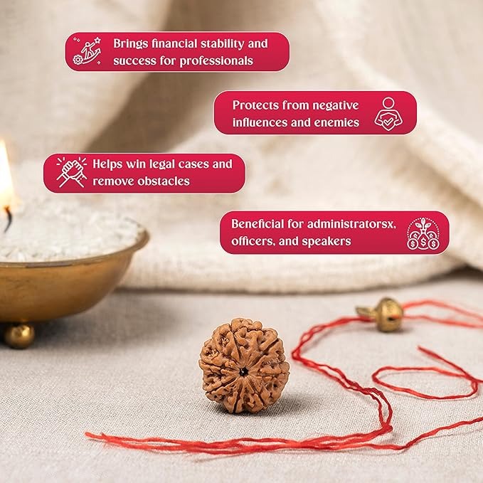 7 Mukhi Rudraksha Bead | Medium Size| Regular Size | Original Nepali