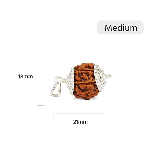 7 Mukhi Rudraksha Bead | With pendent| Medium Size| Regular Size | Original Nepali