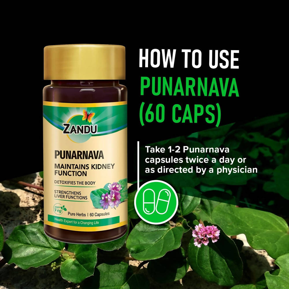 Zandu Punarnava Capsules
