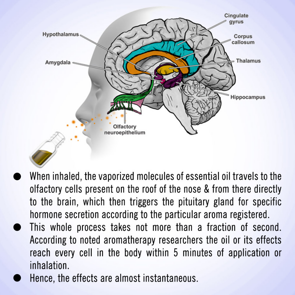 Keya Seth Aromatherapy 32 Star Dental & Gum Solution Essential Oil