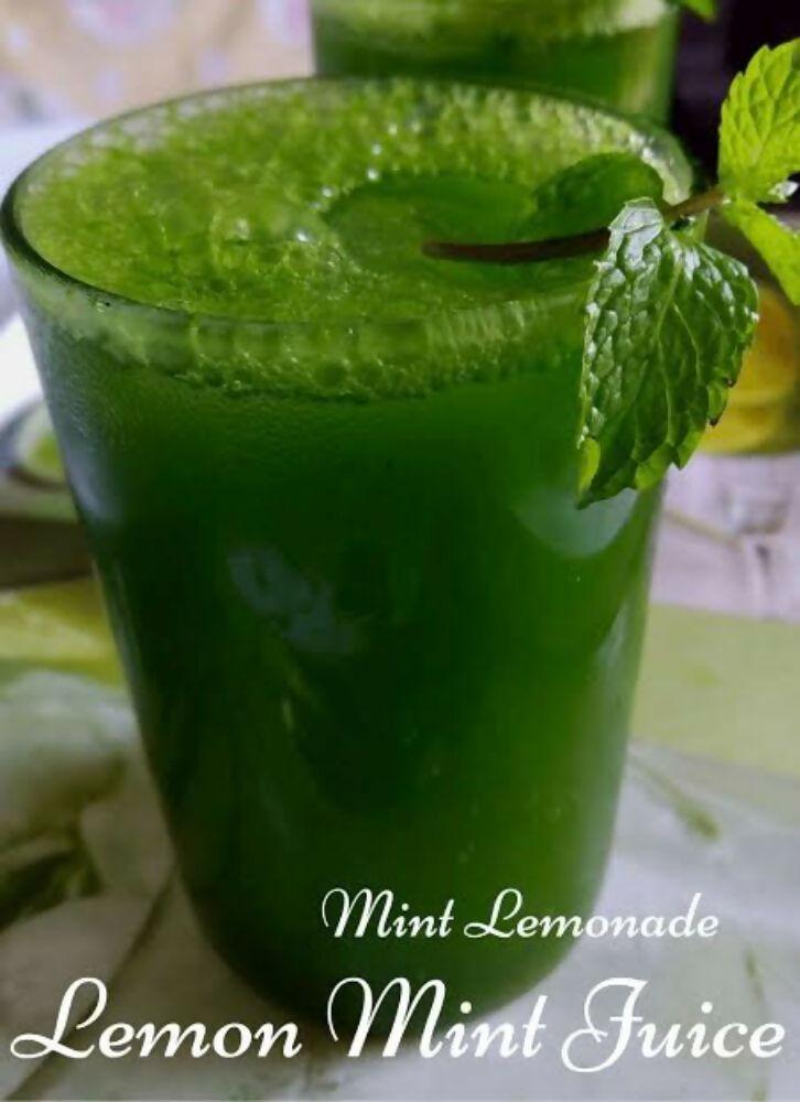 Shuddh Natural Mint Powder - Aromatic Flavor