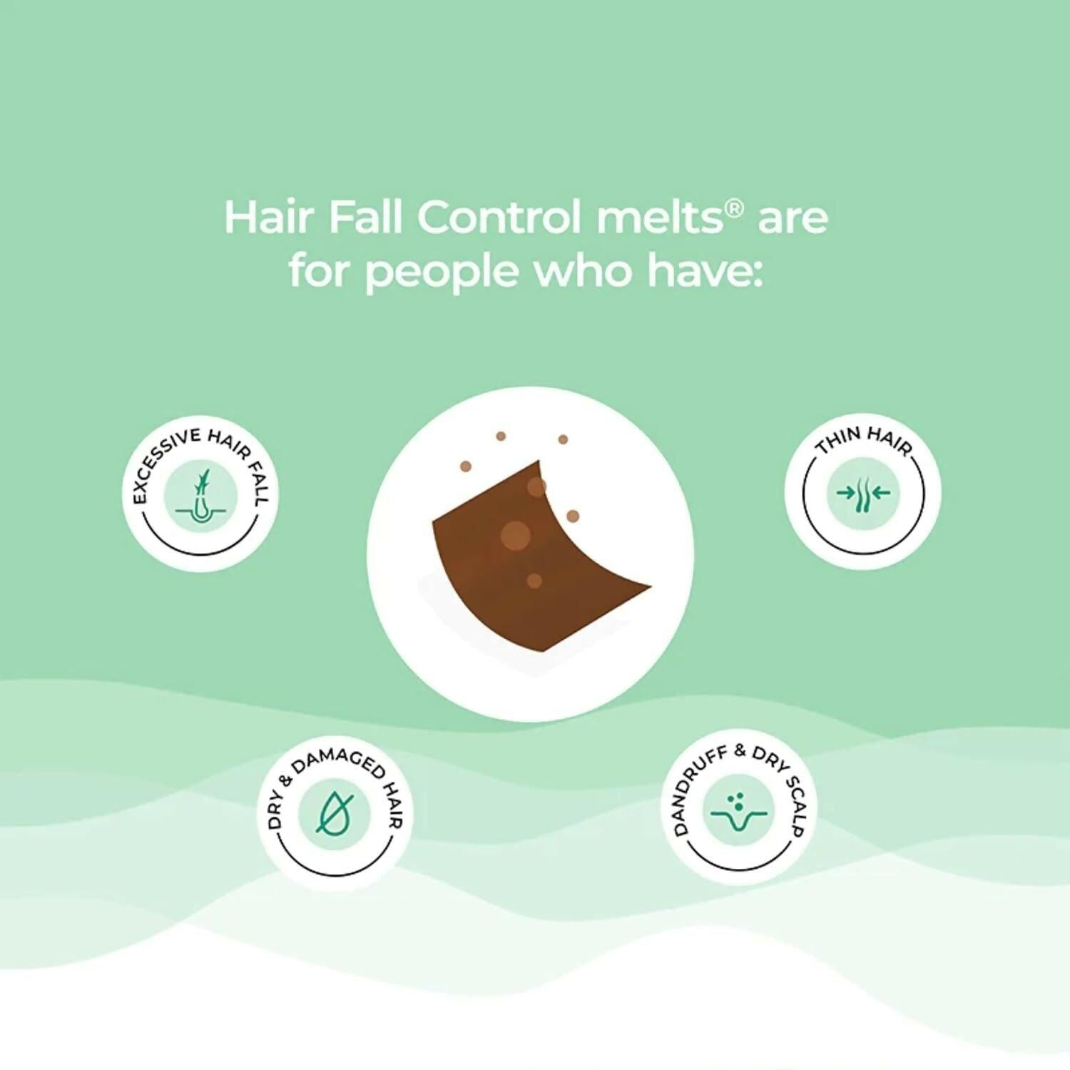 Wellbeing Nutrition Melts Healthy Hair & Hair Fall Control Strips Combo