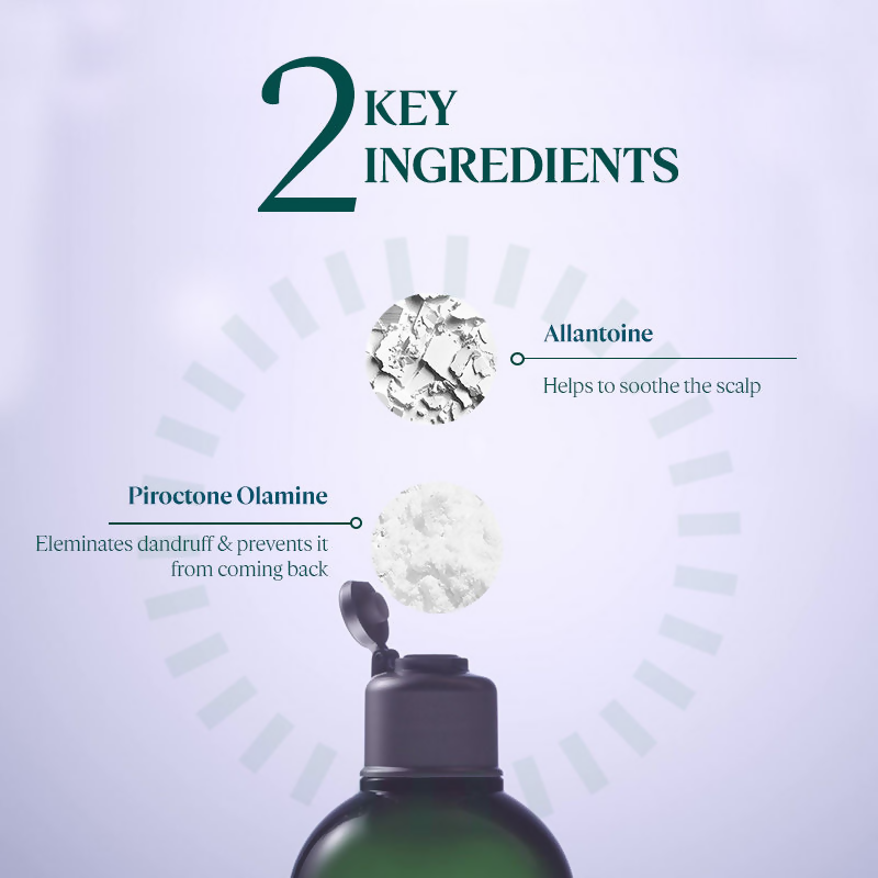 L'Occitane Anti Dandruff Shampoo