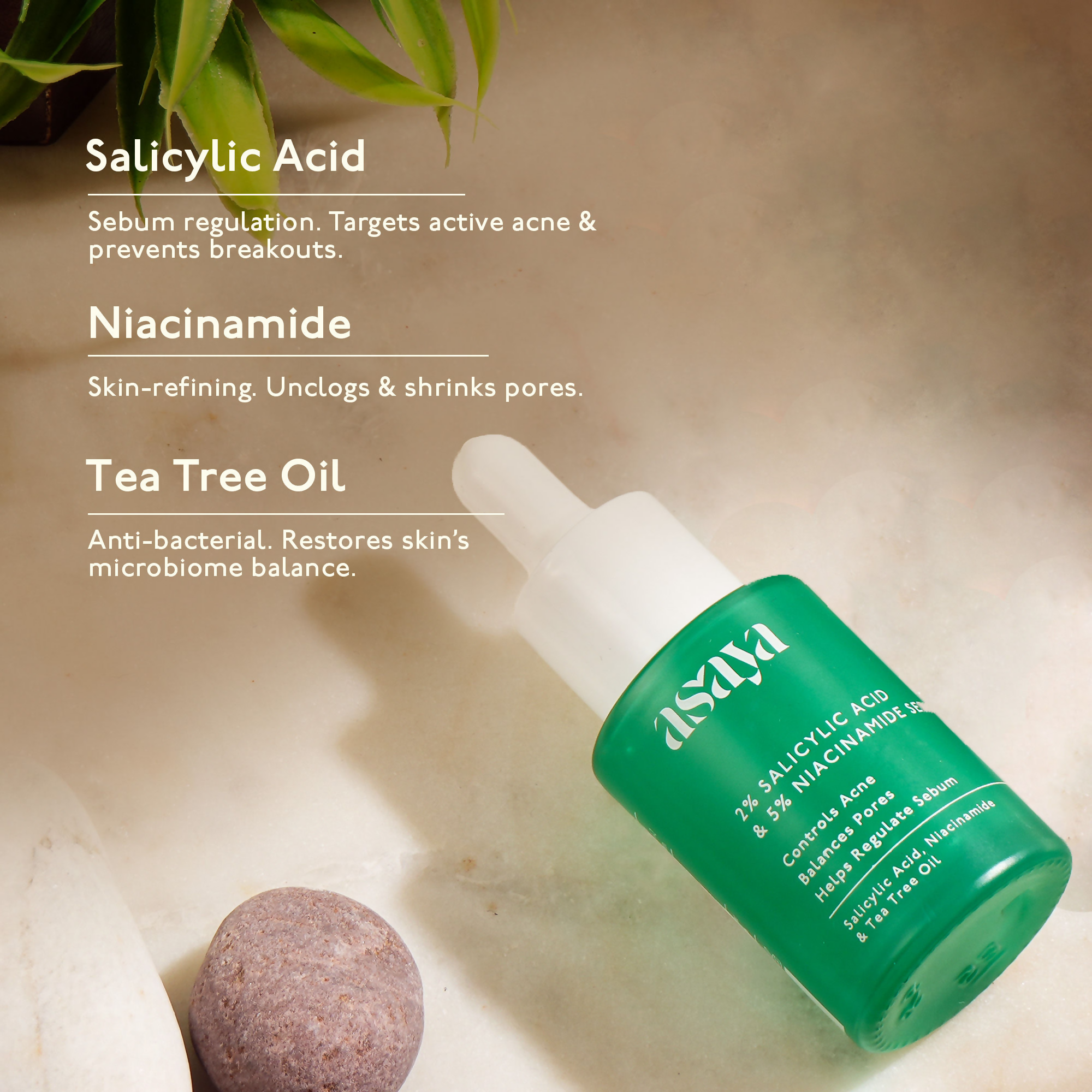 Asaya 2% Salicylic Acid Face Serum For Active Acne & Sebum Control With 5% Niacinamide & Tea Tree Oil