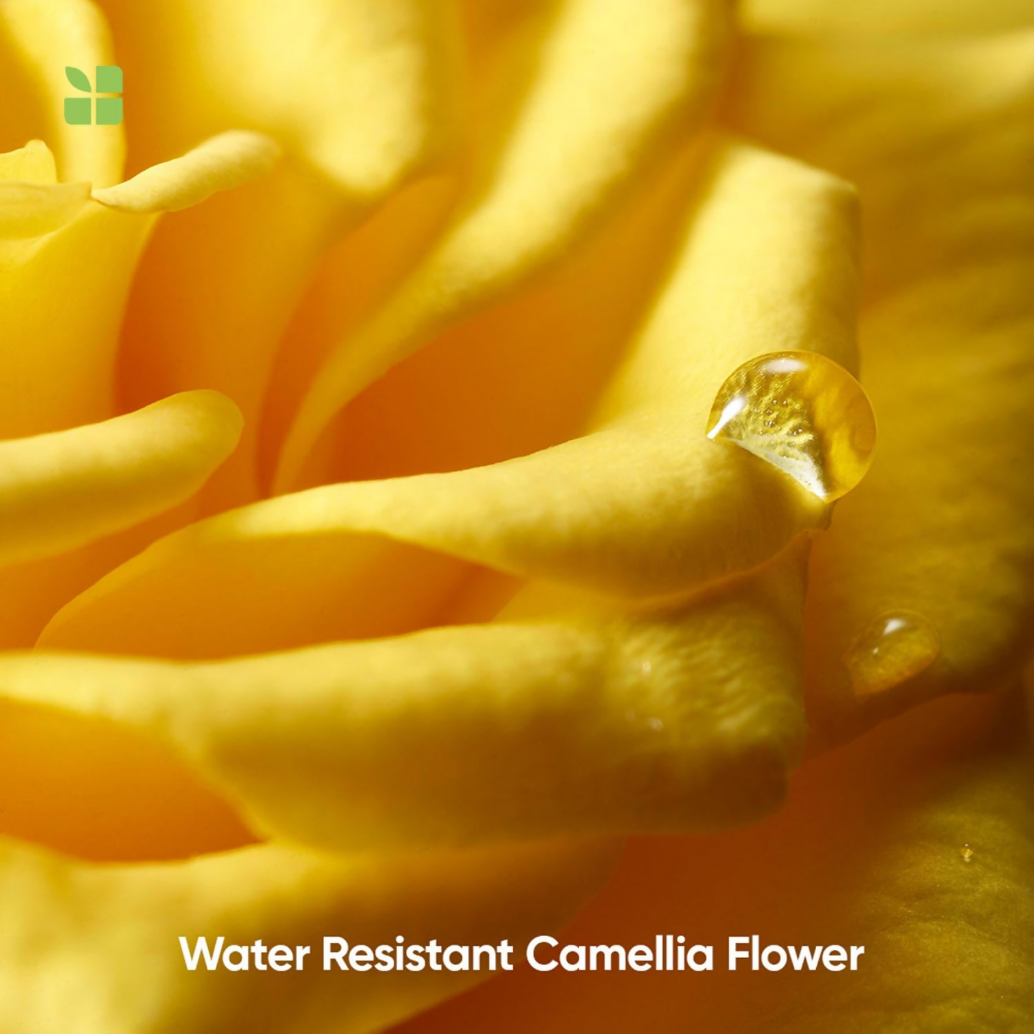 Matrix Biolage Smoothproof Anti-Frizz Shampoo And Conditioner Combo For Dry And Frizzy Hair