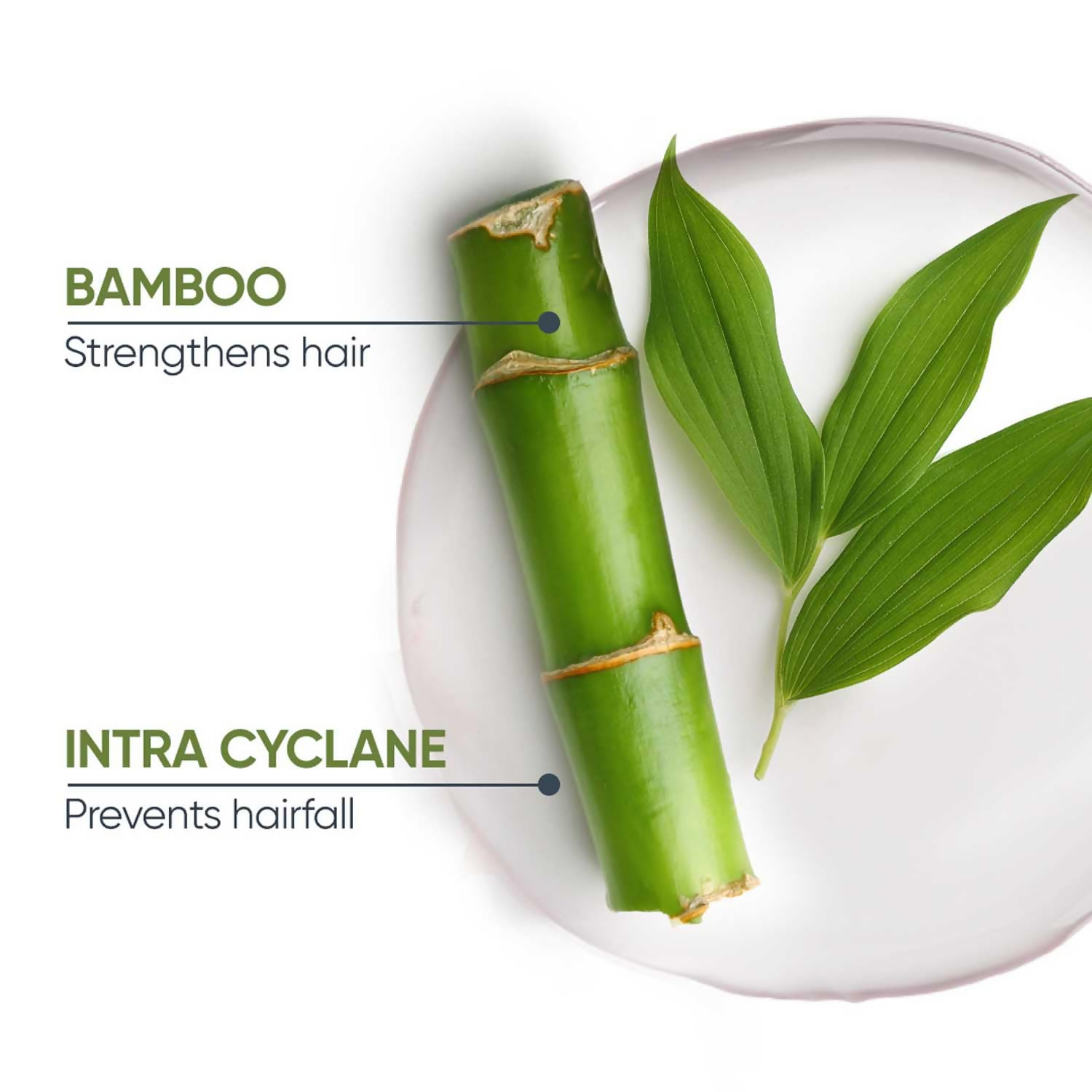 Matrix Biolage Advanced Fiberstrong Conditioner For Hair Strength & Elasticity