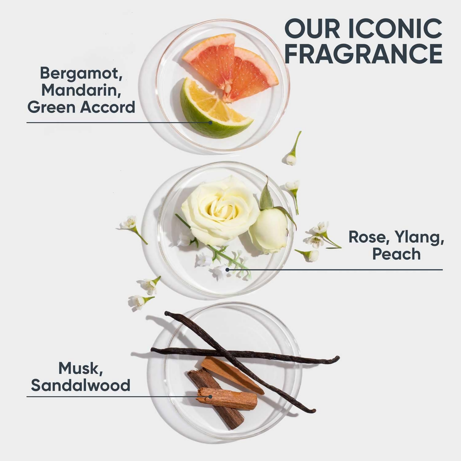 Matrix Biolage Advanced Fiberstrong Conditioner For Hair Strength & Elasticity