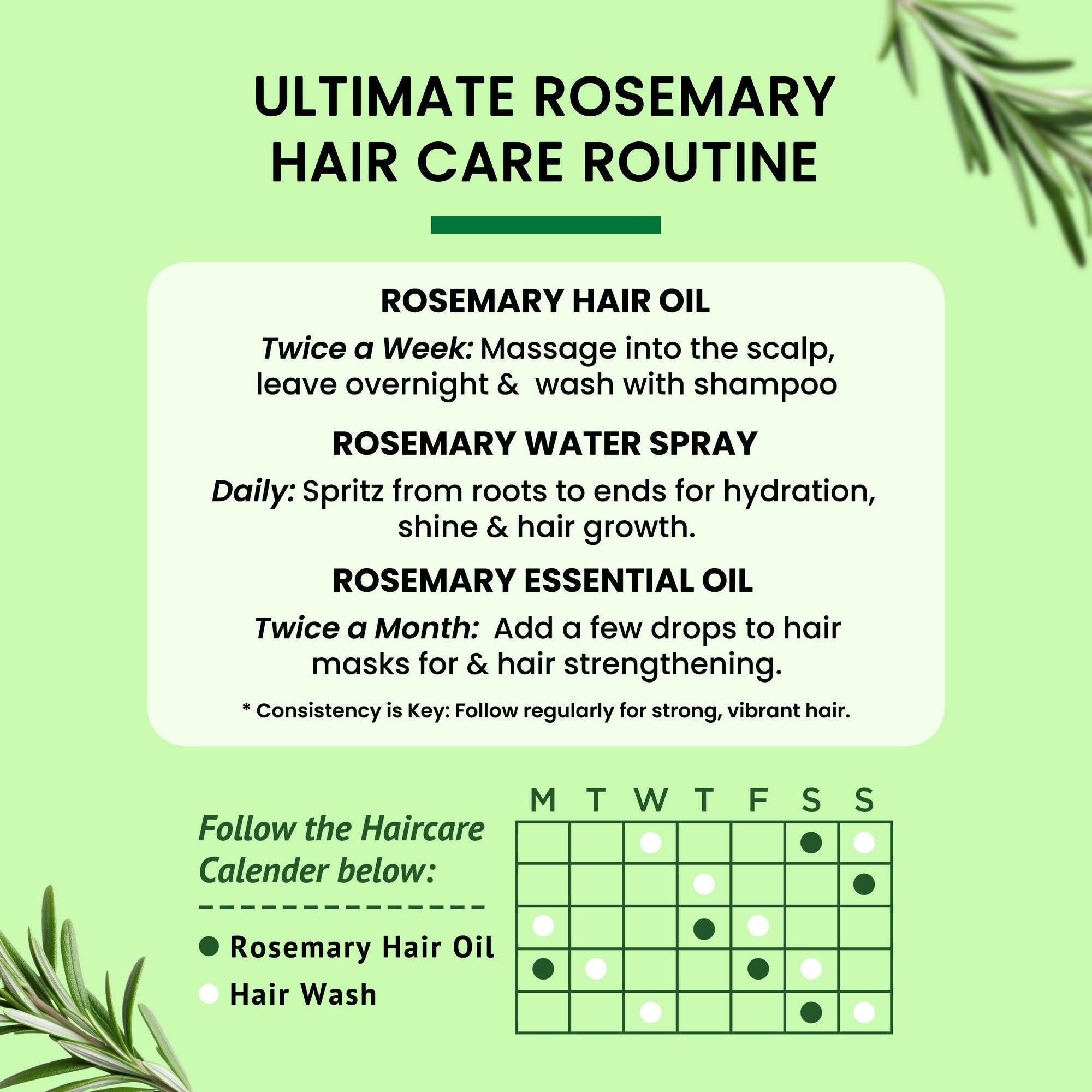 Alps Goodness Rosemary Hair Oil For Hair Growth