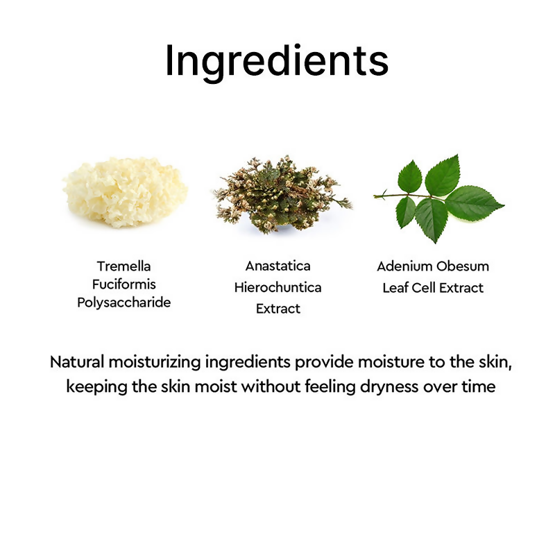 Dewytree Anti-Pollution Tinted Korean Sunscreen SPF 50+ PA++++