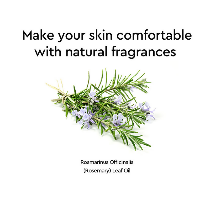 Dewytree Anti-Pollution Tinted Korean Sunscreen SPF 50+ PA++++