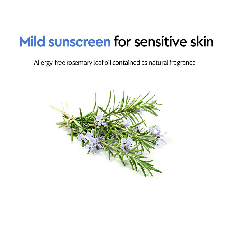 Dewytree Moisture Repair Tinted Korean Sunscreen SPF 50+ PA++++