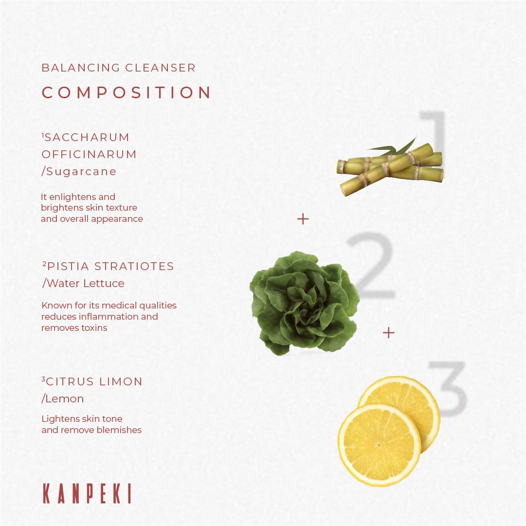 Kanpeki - Balancing Cleanser Face Wash