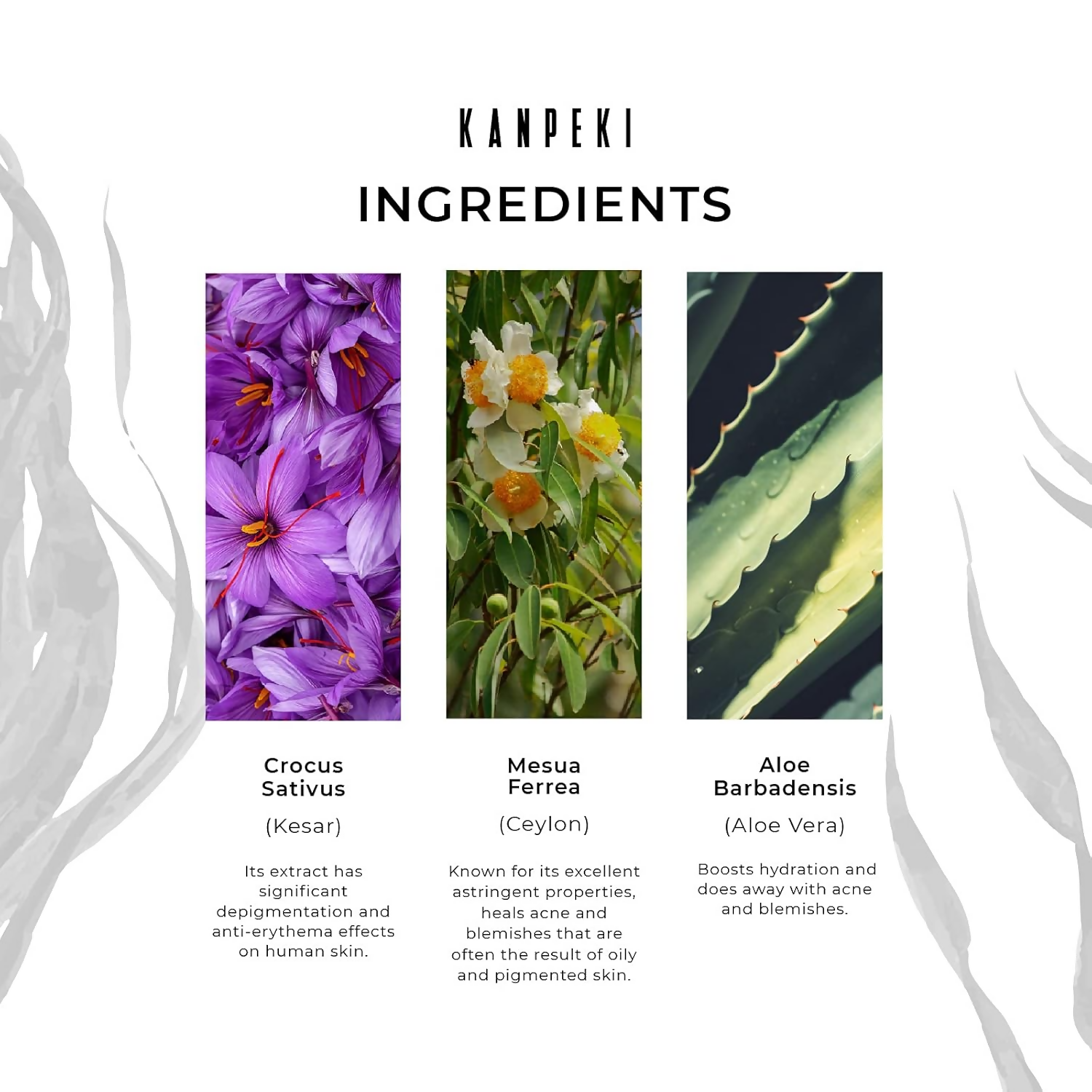 Kanpeki Purifying Facial Clay Mask