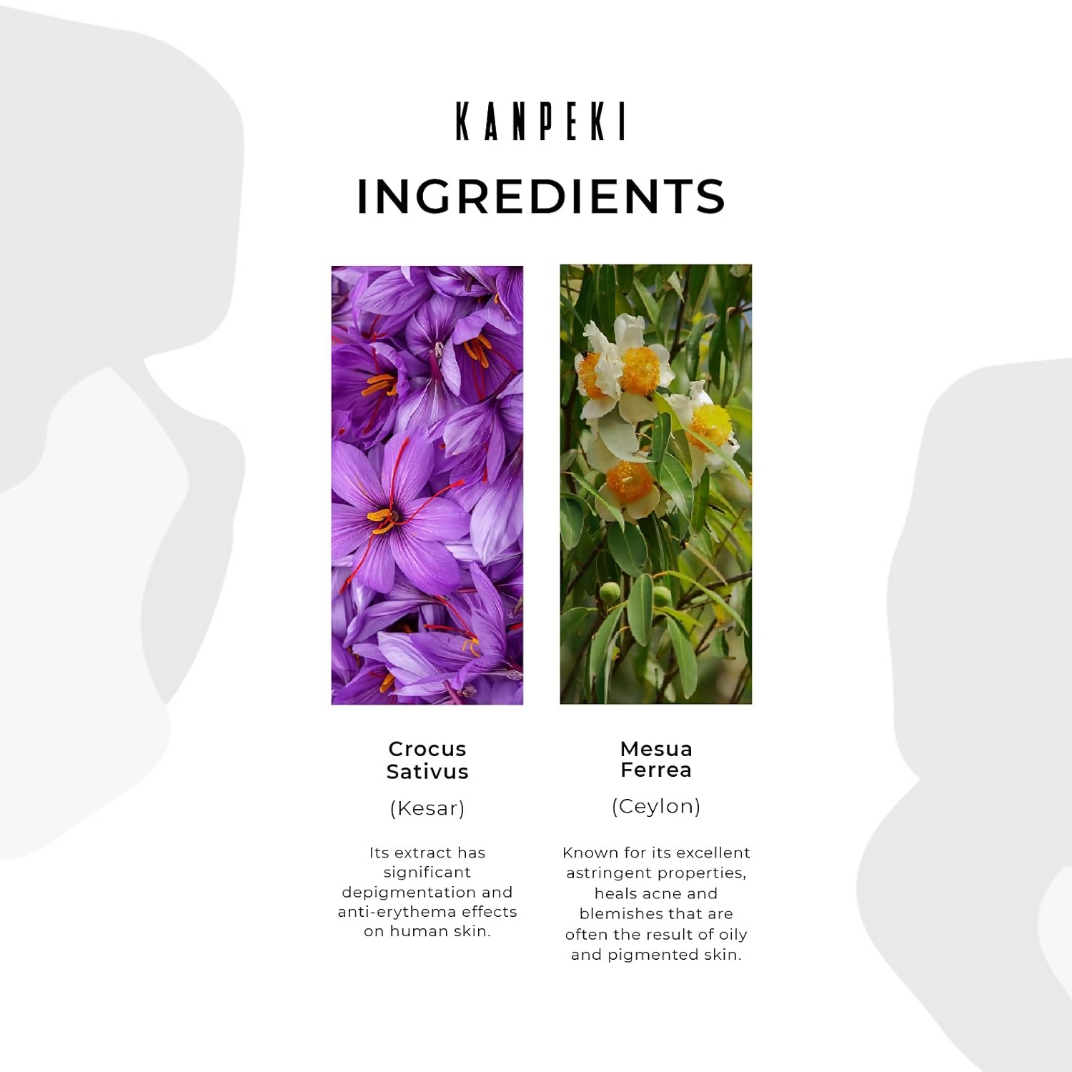 Kanpeki - Desquacream Facial Exfoliator