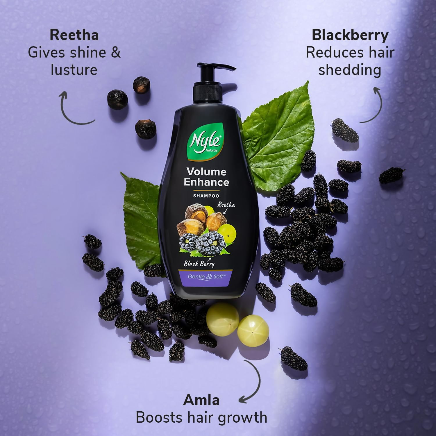 Nyle Naturals Volume Enhance Shampoo With Blackberry Reetha and Amla Gentle & Soft