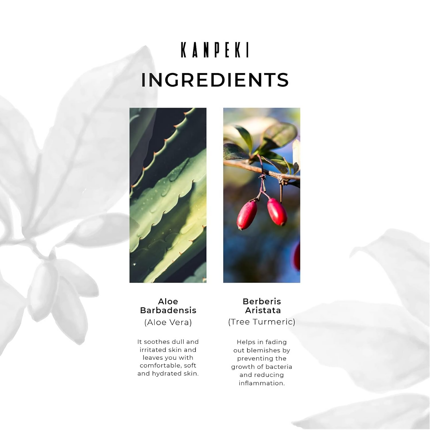 Kanpeki Hydra Boost Facial Serum