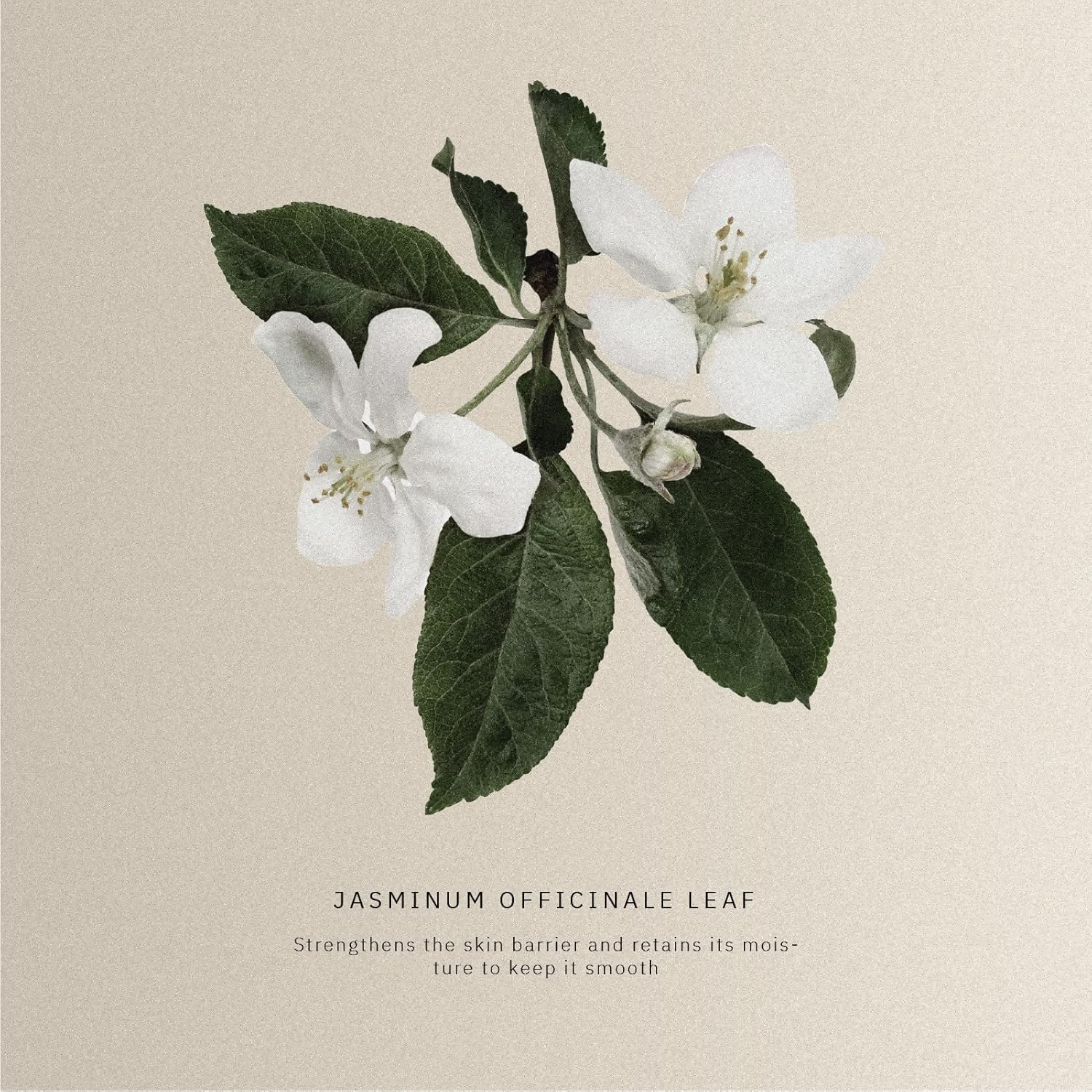 Kanpeki Derma Care Drops Facial Serum