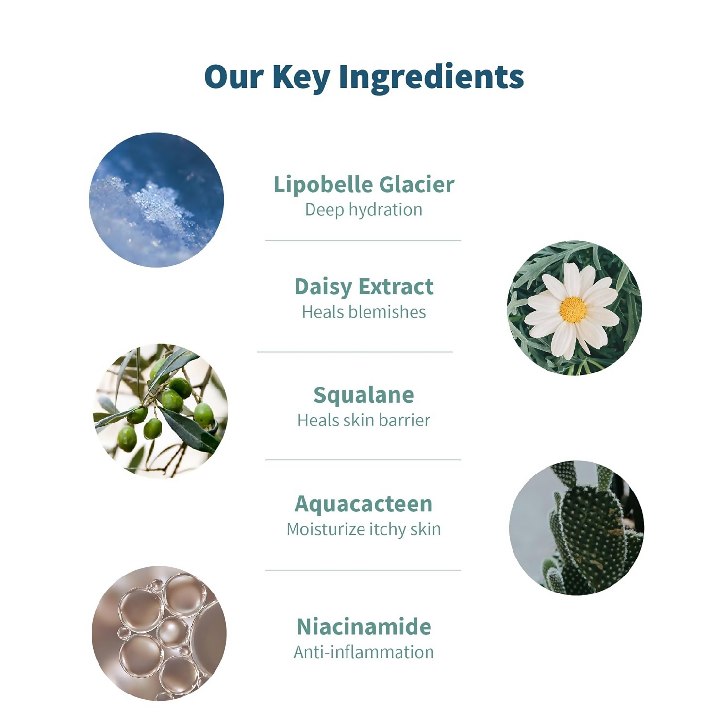 Meola Swiss Glacier Face Serum