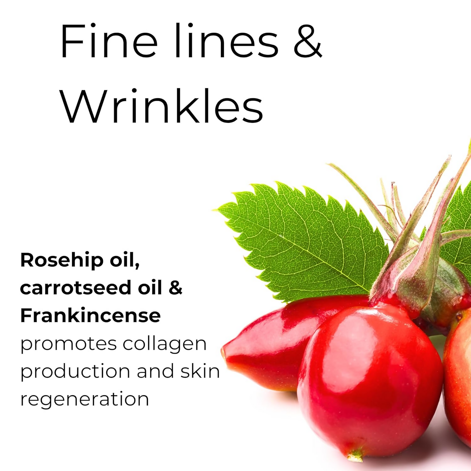 Noor Skincare Face Oil For Glowing Skin With Rosehip, Jojoba, Argan & Vitamin E