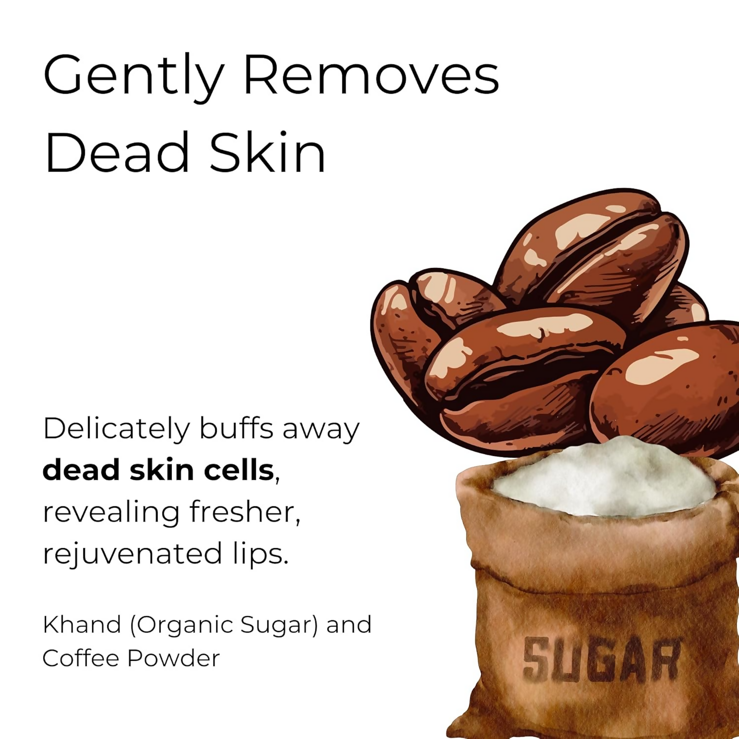 Noor Skincare Coffee Lip Scrub