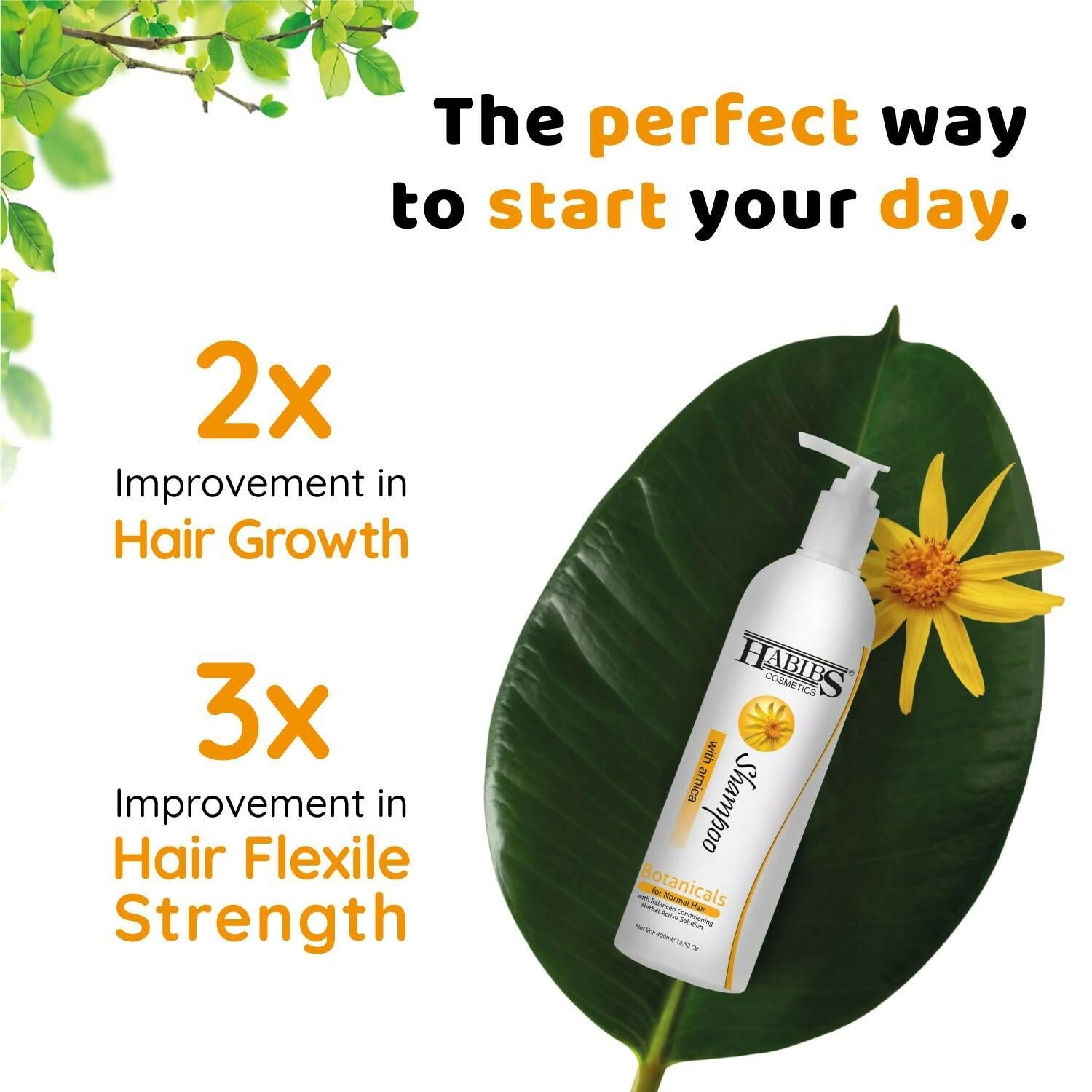 Habibs Professional Hair Shampoo with Arnica To Improve your Scalp Health for Daily Use