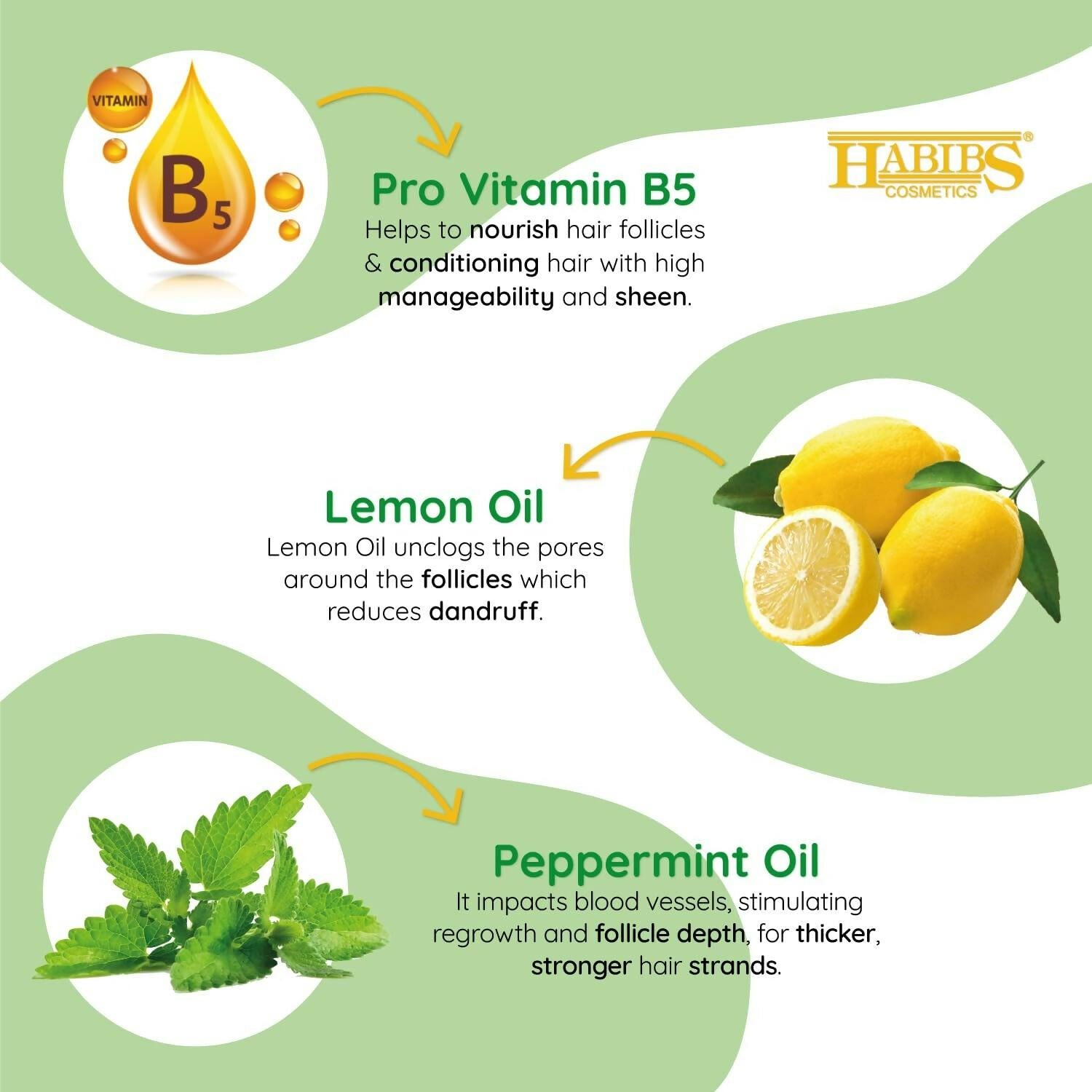 Habibs Professional Oil Control Shampoo For Oily Hair And Scalp Anti Dandruff With Natural Lemon & Mint Oil