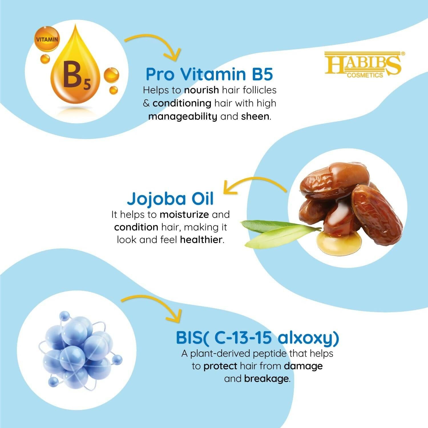 Habibs Professional Hair Shampoo with Jojoba Oil Botanicals For Anti Hair Fall