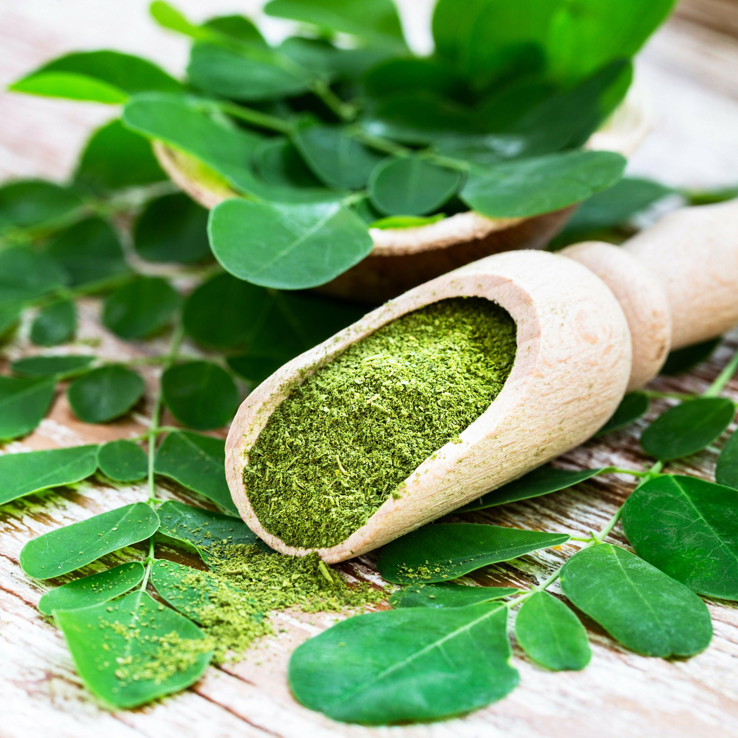 The Ayur House Moringa Powder