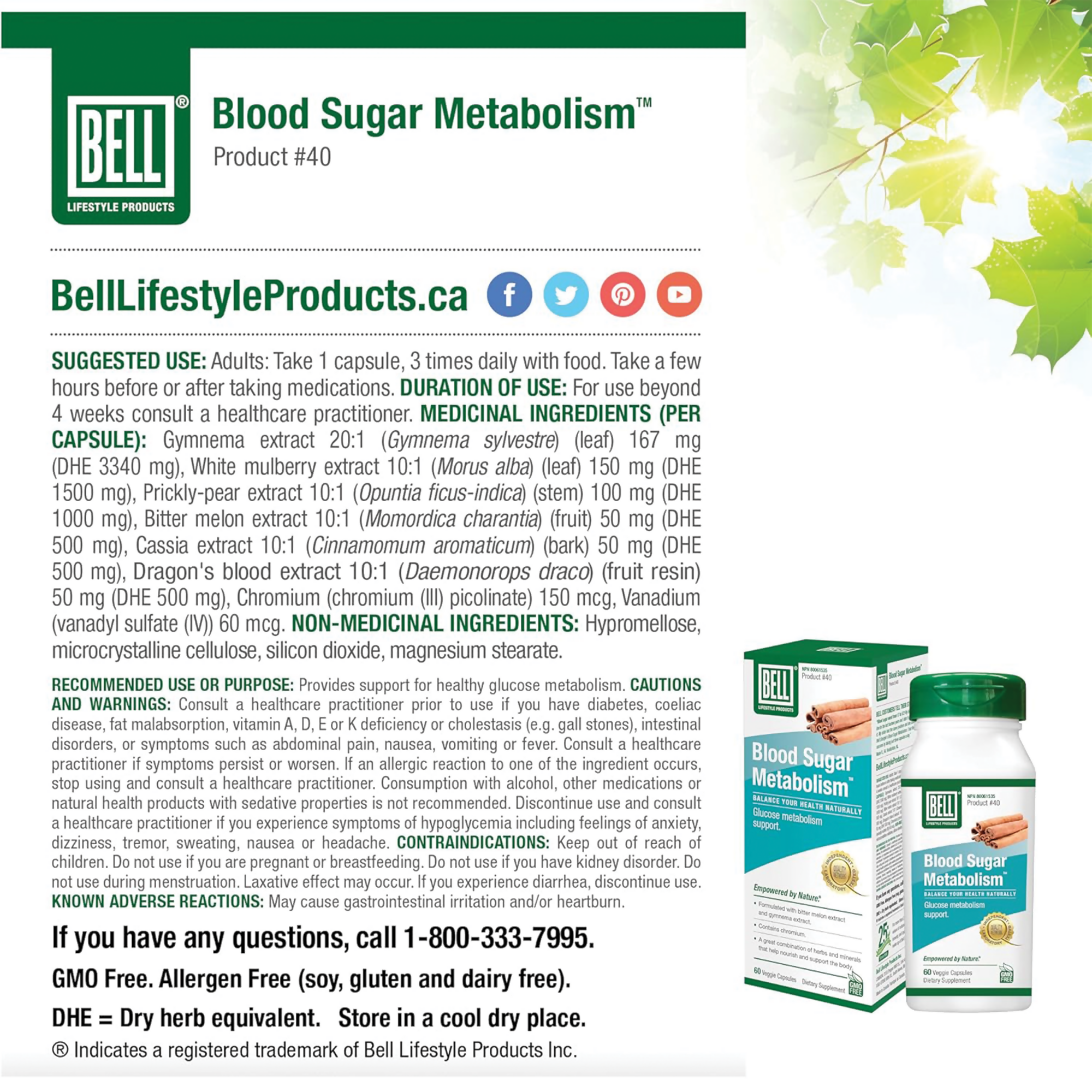 The Ayur House Blood Sugar Metabolism Capsules