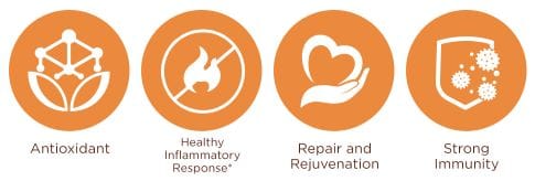 Curcuwin Bioperine Oil Capsules