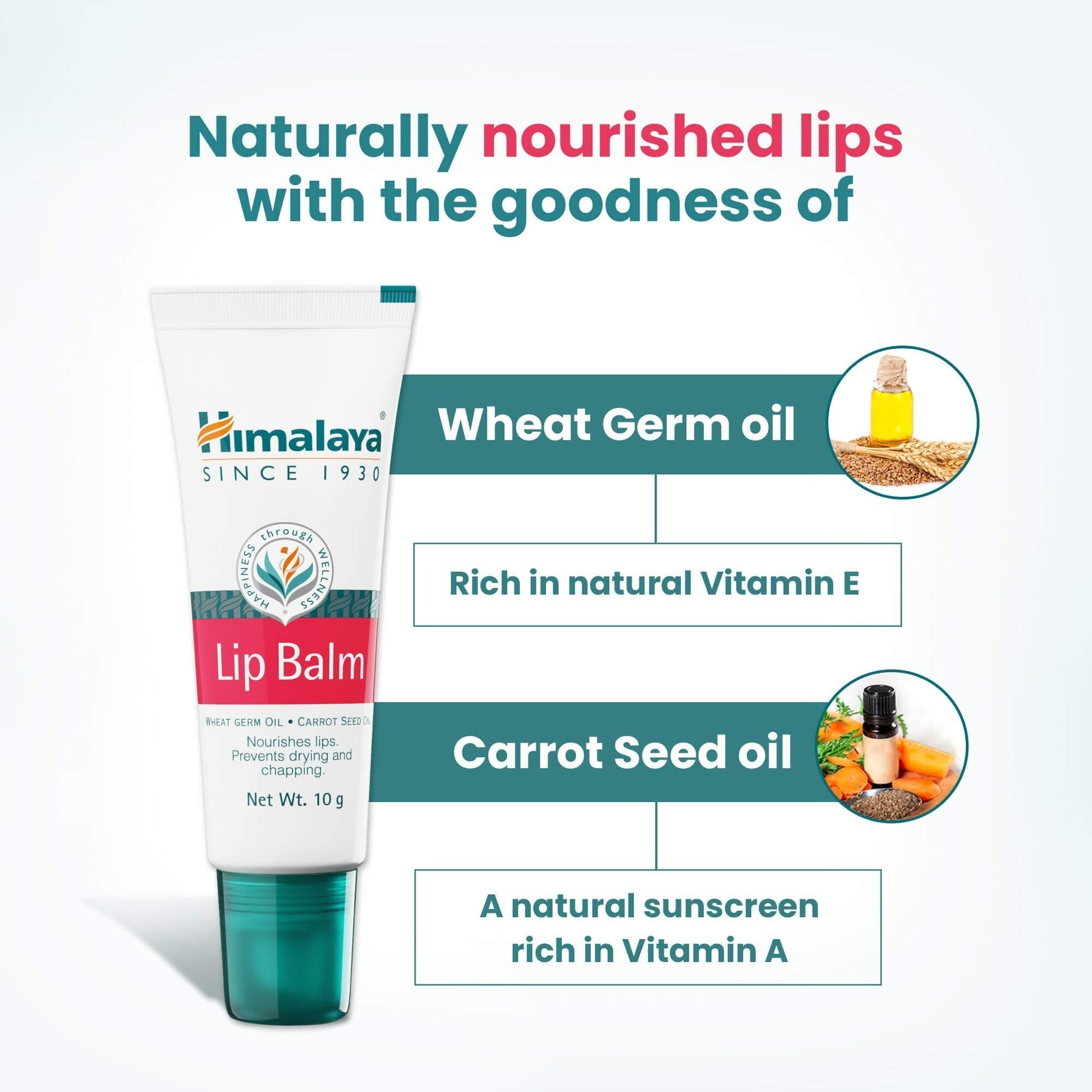 Himalaya Herbals Lip Balm