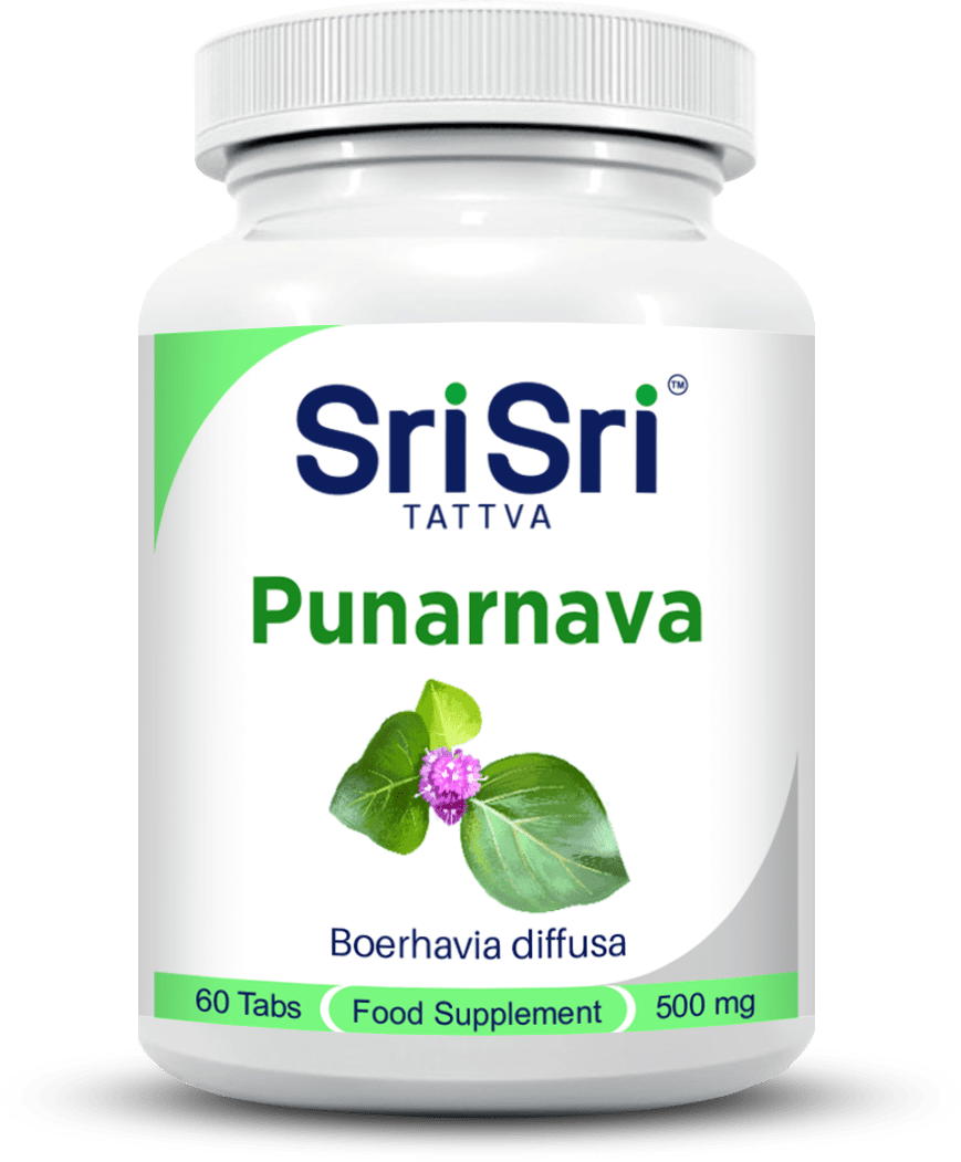 Punarnava - Kidney & Skincare