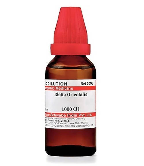 Dr. Willmar Schwabe India Blatta Orientalis Dilution