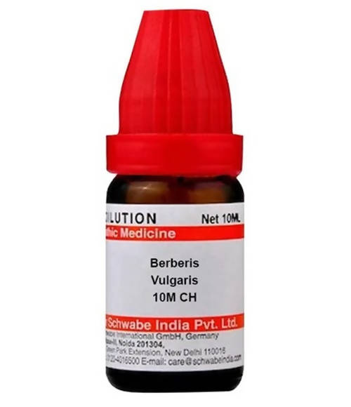 Dr. Willmar Schwabe India Berberis Vulgaris Dilution