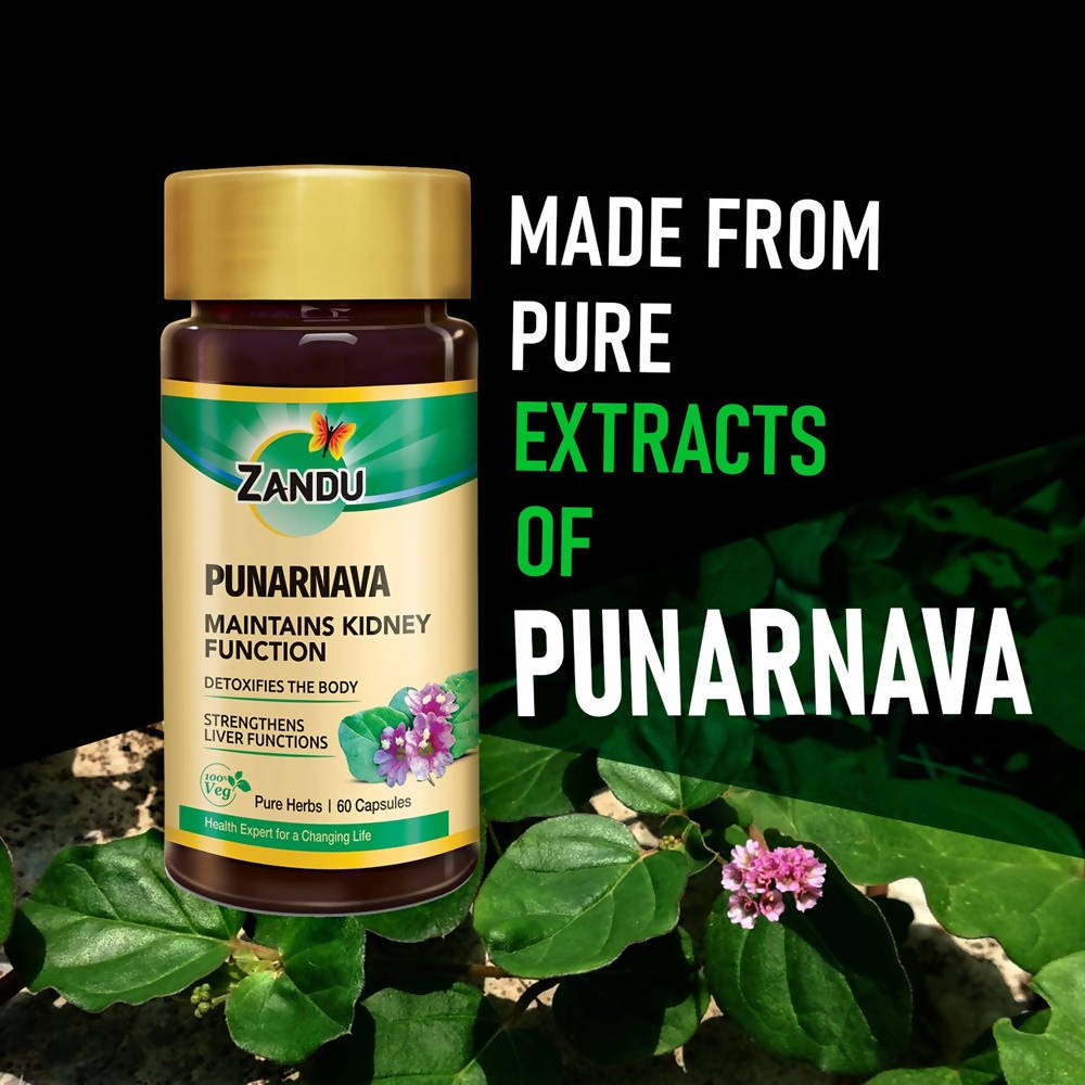 Zandu Punarnava Capsules