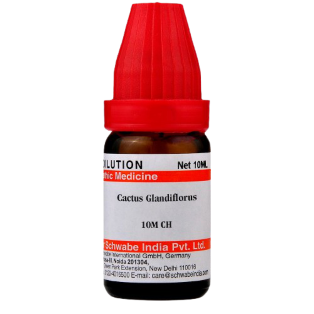 Dr. Willmar Schwabe India Cactus Glandiflorus Dilution