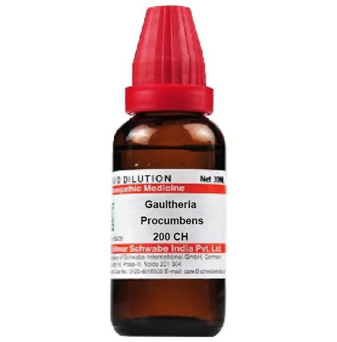 Dr. Willmar Schwabe India Gaultheria Procumbens Dilution